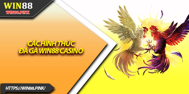 Đá Gà Win88 – Sàn Đấu Quy Tụ Chiến Kê Mạnh Nhất 3 Các hình thức đá gà Win88 casino