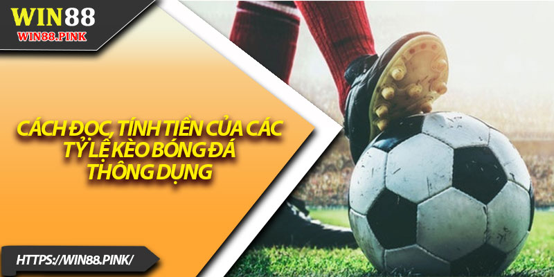 Tỷ Lệ Kèo Bóng Đá – Hướng Dẫn Đọc Kèo Chuẩn 2025 3 Cách đọc, tính tiền của các tỷ lệ kèo bóng đá thông dụng