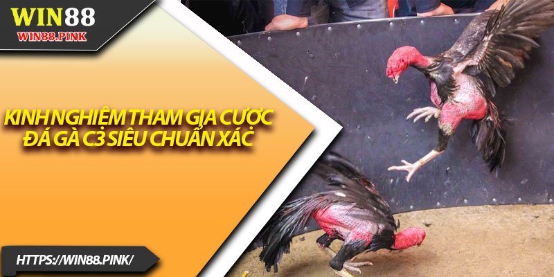 Đá Gà C3 – Trải Nghiệm Cá Cược Cấp Độ Mới Lạ 4 Kinh nghiệm tham gia cược đá gà C3 siêu chuẩn xác