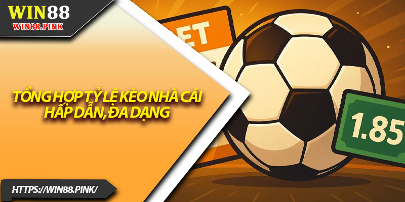 3 Tỷ Lệ Kèo Phổ Biến, Dễ Hiểu Cho Người Mới Bắt Đầu 3 Tổng hợp tỷ lệ kèo nhà cái hấp dẫn, đa dạng